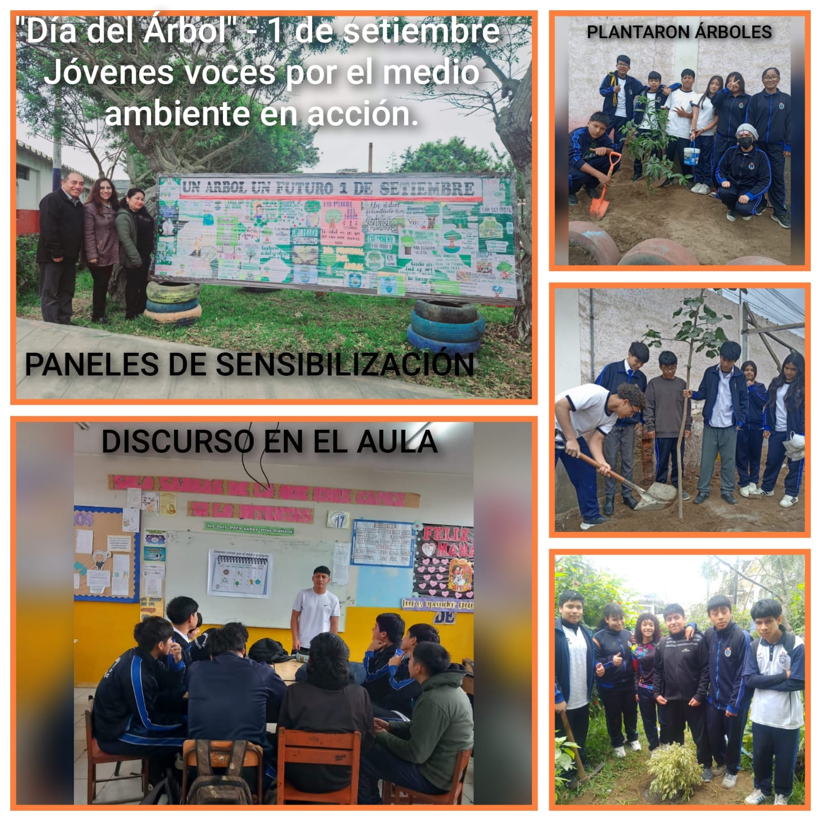 PLATILLO SOLIDARIO